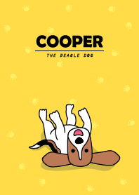 Cooper the Beagle dog