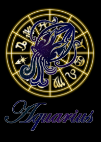 １２星座 水瓶座６
