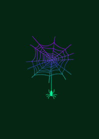 Dream catcher spider's nest