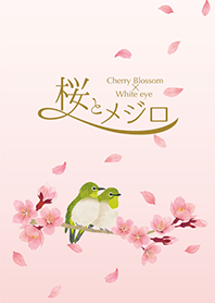 Cherry Blossom x White-eye