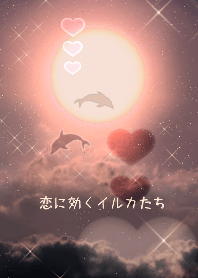 恋愛運に効く⁉︎恋に効くイルカたち