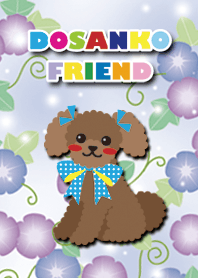 #cool [toy poodle/apricot] morning glory