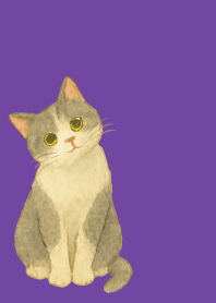 Cat tilting its head2 on purple