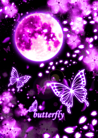 Butterfly[Cherry Blossoms]