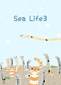 海の生物３