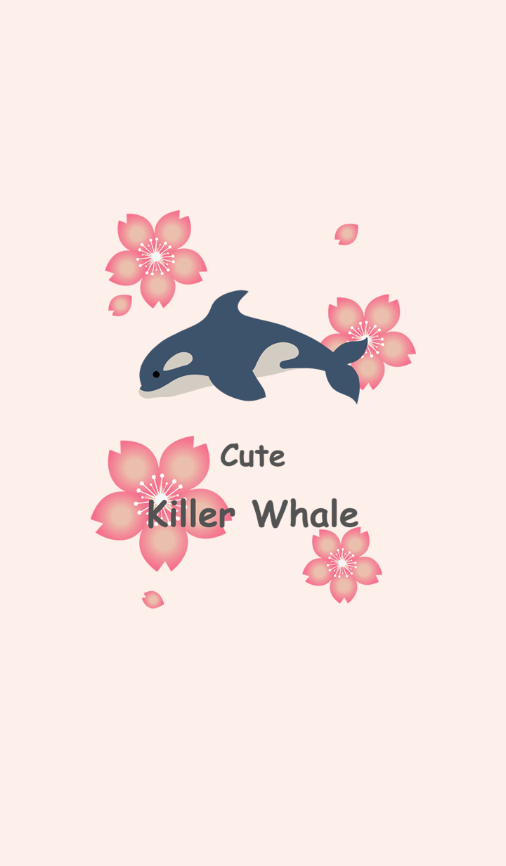 Beautiful killer whale cherry blossoms