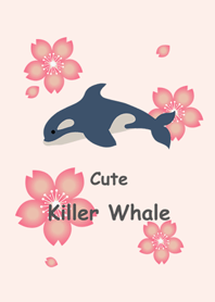 美麗虎鯨櫻花