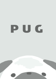 Pug blue