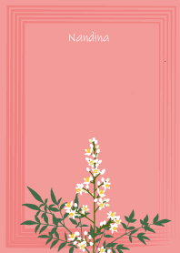 December's birth flower,Nandina