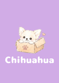 Sketch Chihuahua Purple 02