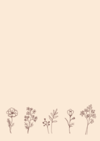 Simple Pretty Flower / Apricot