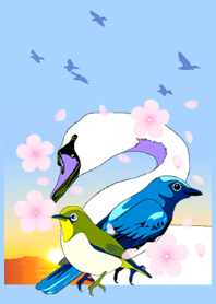 sunrise Bird