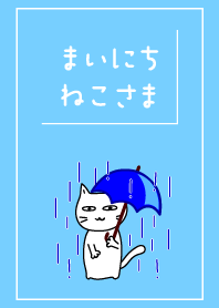 まいにち、ねこさま16 雨の季節