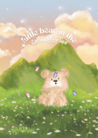 Little bear in the evening grass
