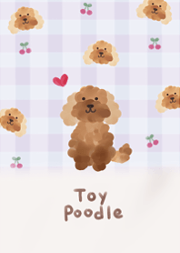 I love fluffy toy poodle11.