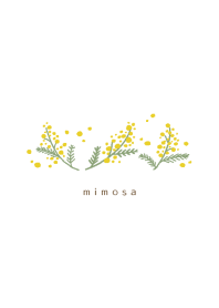 Simple flower/mimosa(white)