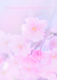Cherry Blossoms Photo #25-22 NotAI