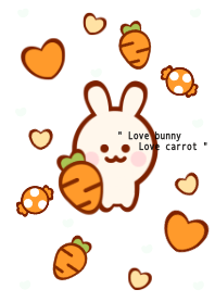 Love bunny Love carrot 13