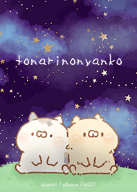 となりのにゃんこ　星空