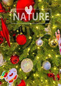 The nature35(X'mas)