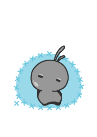 rabbit staring-75
