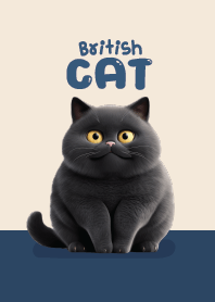 Cat Black : British Shorthair! (Navy)
