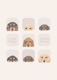 DOGS - dachshund L - BEIGE
