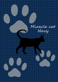 Miracle cat navy