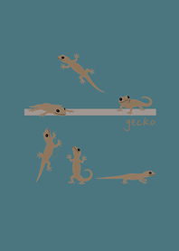 Lucky gecko in the house(Lake Green)