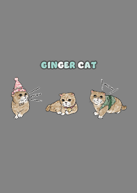 gingercat8 / dark grey