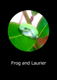 Frog and Laurier