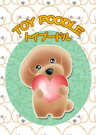 TOY POODLE TOY POODLE Ver1