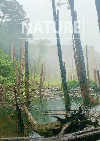 The nature25