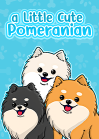 a Little Cute Pomeranian Light Blue