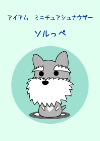 M.シュナウザー ソルっペ