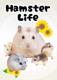 ハムスターライフ