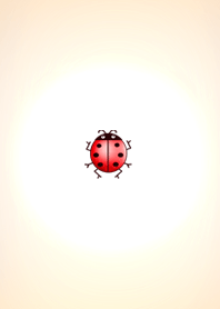 This is one ladybird...It's so cute?