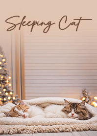 Cats sleeping peacefully - Beige