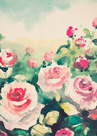 Beautiful rose flower(R4652)