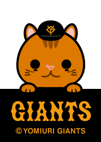 リスがコバ 小林誠司選手ハンドパペット「リスがコバ」を発売 | 読売