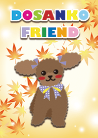RUBY&FRIEND [toy poodle/apricot] Autumn+