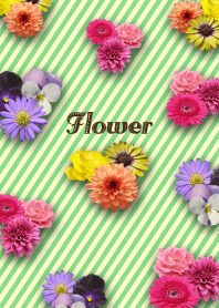 Beautiful flower theme