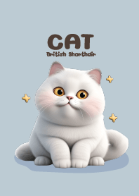 แมวอ้วน British Shorthair
