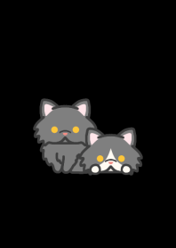 Short snout Cat B*darkmode*long-haired*
