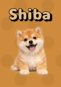 Shiba Inu Plush Theme Brown 04