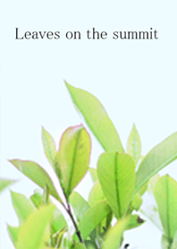 Simple green plants