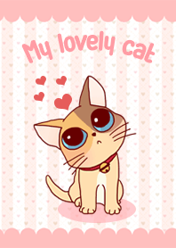 -My lovely cat-