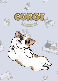 corgicorgi8 - alice blue