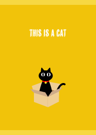 This is a cat on yellow