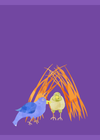 Bowerbird on purple